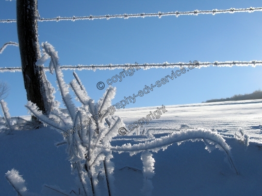 Mittelgebirge Sauerland im Winter