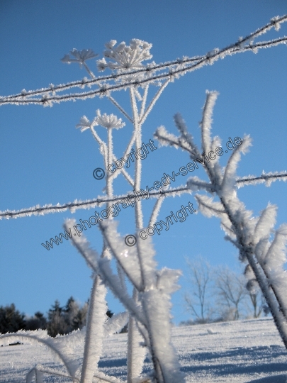 Mittelgebirge Sauerland im Winter