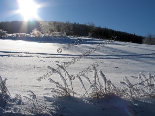 Mittelgebirge Sauerland im Winter