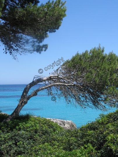 Strand Mallorca